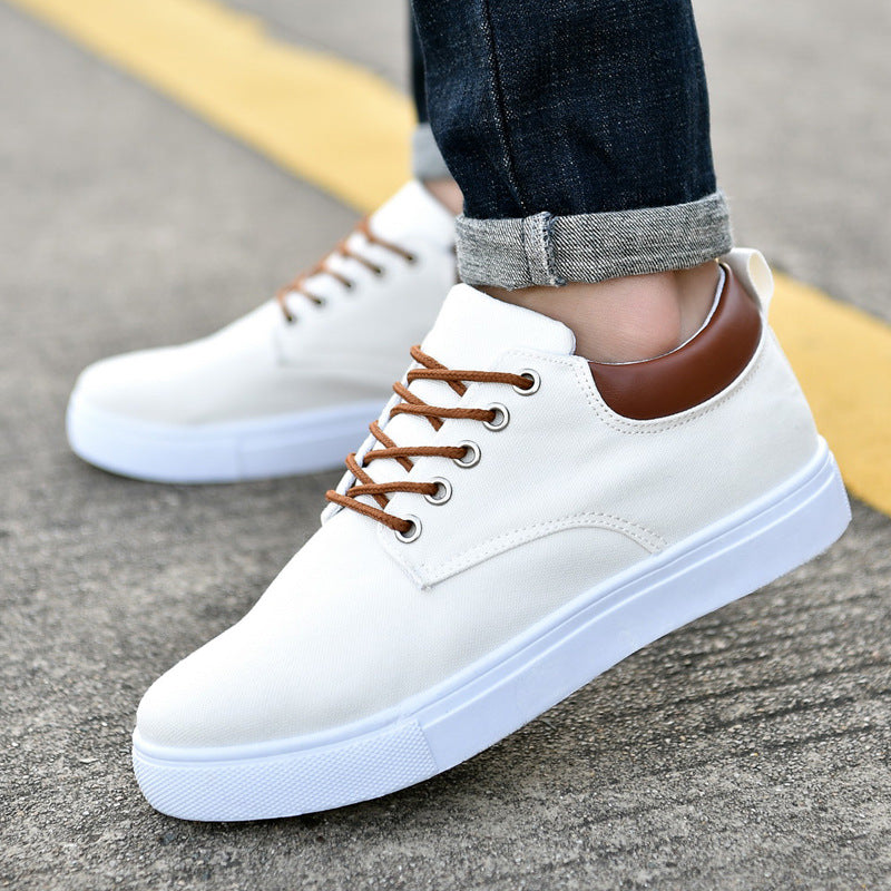 White / 47