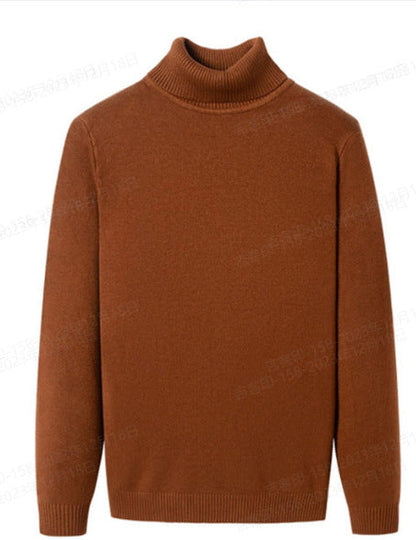 Aren - Mörkbrun polotröja med tidlös stil